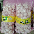 China fresh garlic factory offer CIF, new crop fresh garlic export